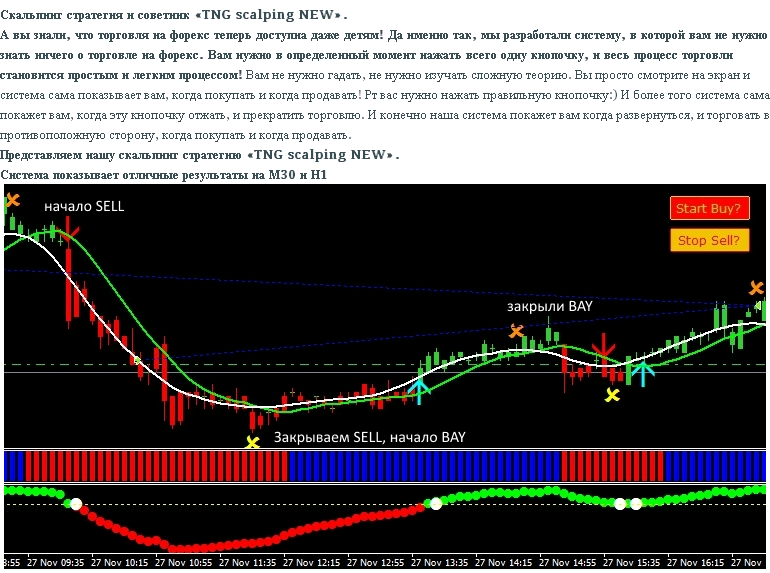 Скальпинг стратегия форекс и советник TNG scalping_0.png